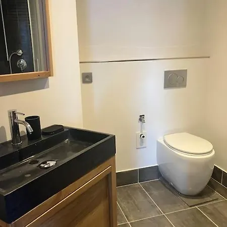 Apartment Magnifique Au Centre De Chamonix