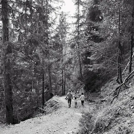 Appartement Magnifique Au Centre De