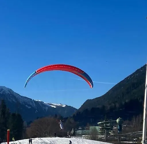 Magnifique Au Centre De Appartement